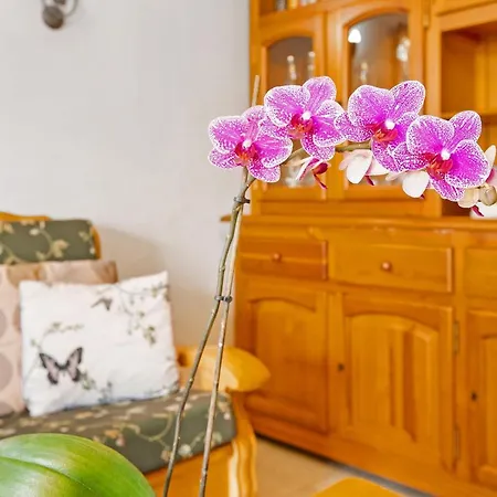 Casa Alegria 2 Apartment Maspalomas (Gran Canaria)